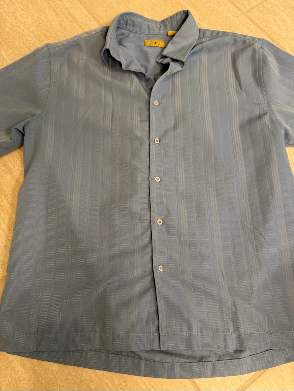 Royal Palm Light Blue Short-Sleeve Button-Up Shirt